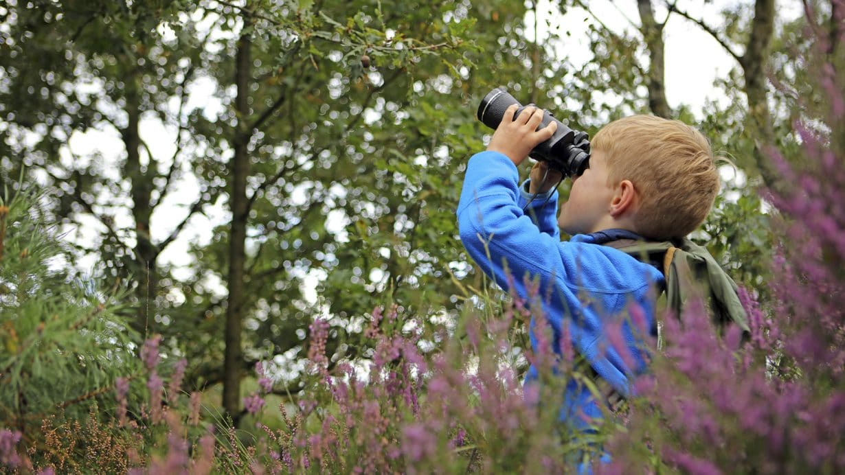 birding bonanza