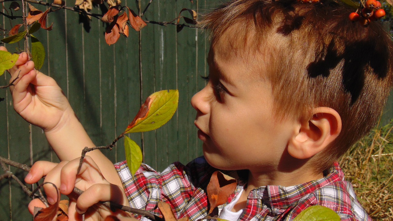 backyard science