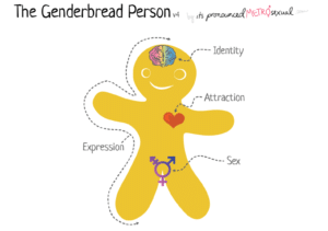 genderbread man