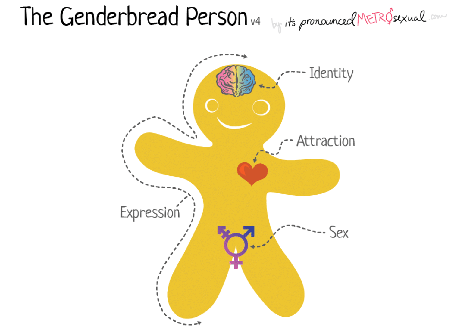 genderbread man